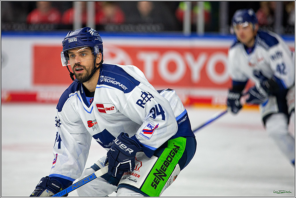 PENNY DEL; Koelner Haie- Straubing Tigers; Koeln, 09.10.2022